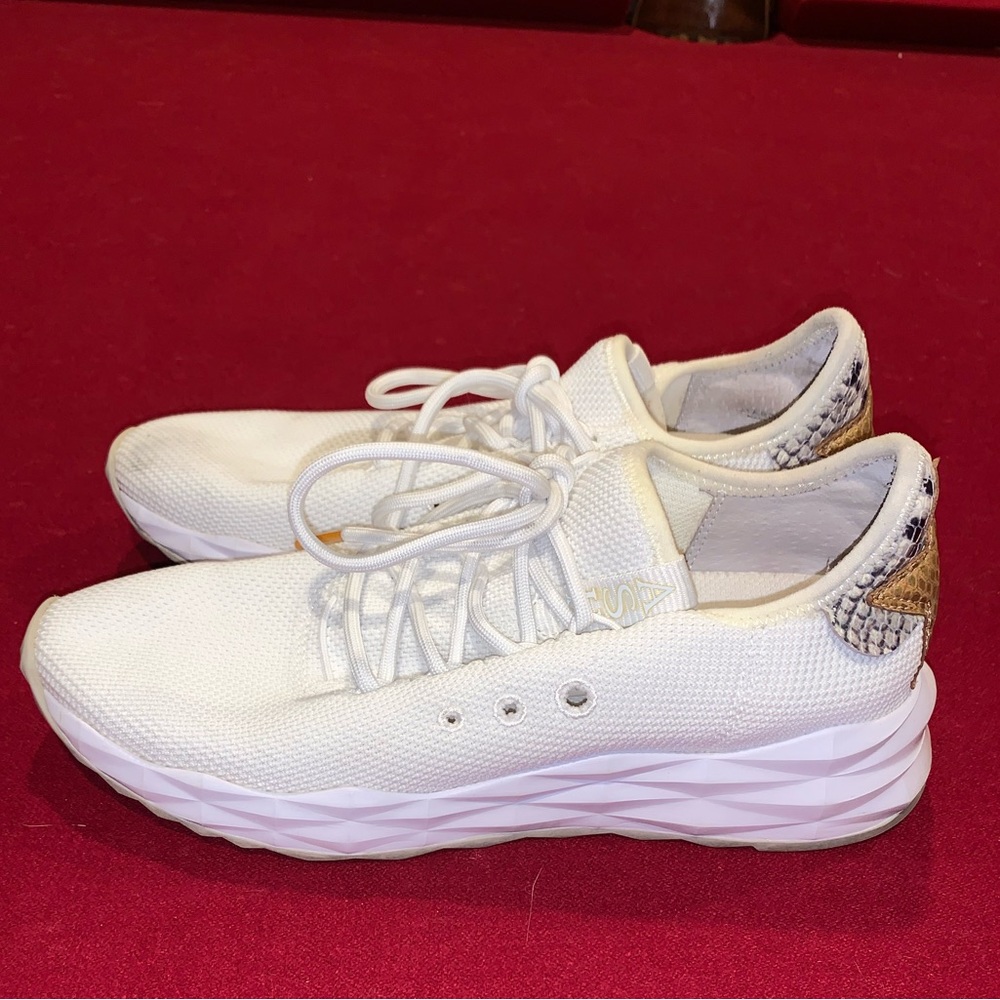 Ash Cream Canvas with a Snakeskin Star Running Shoes and White Diamond Cut Sole